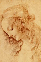 Teste di Donna di Profilo